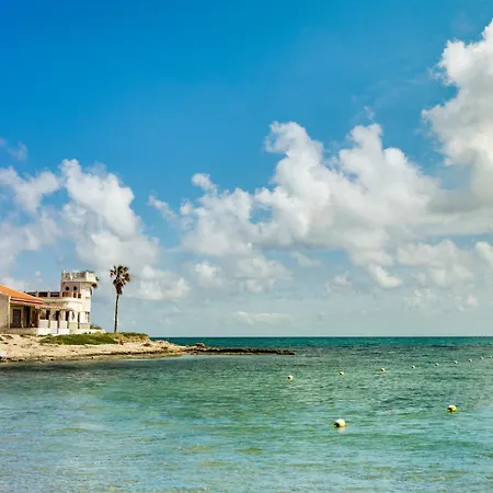 Concordia Beachside Apartment: Near Del Cura & Station Torrevieja